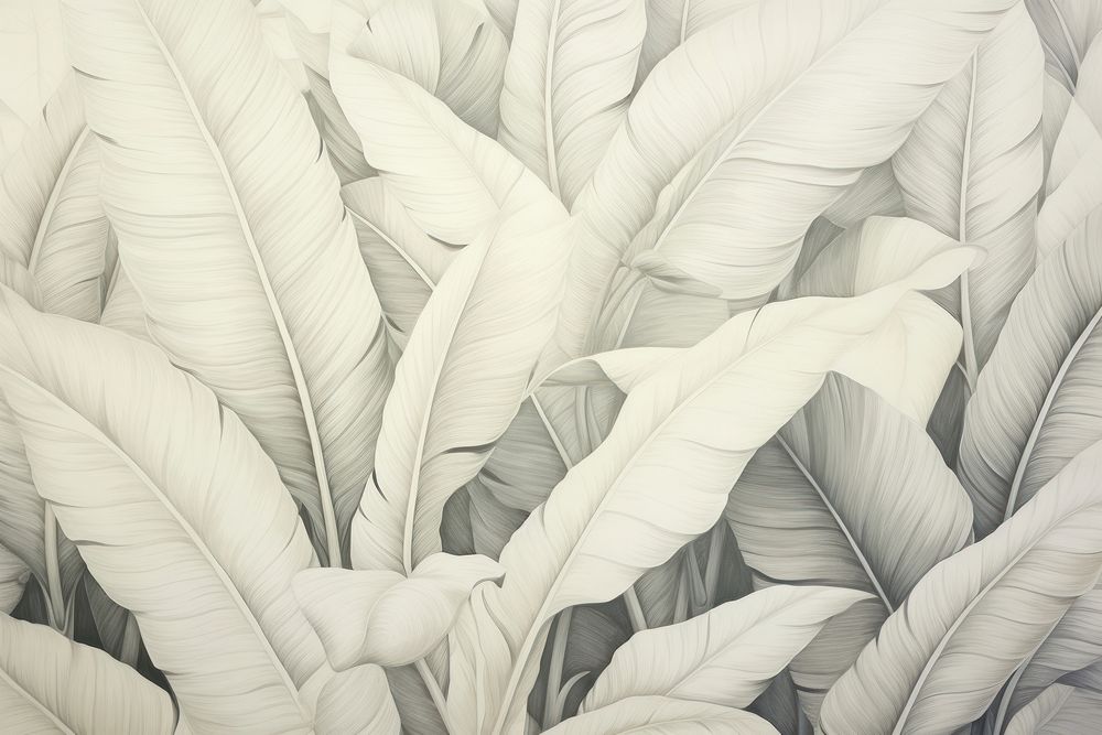 Pastel monotone banana leaves backgrounds pattern drawing.