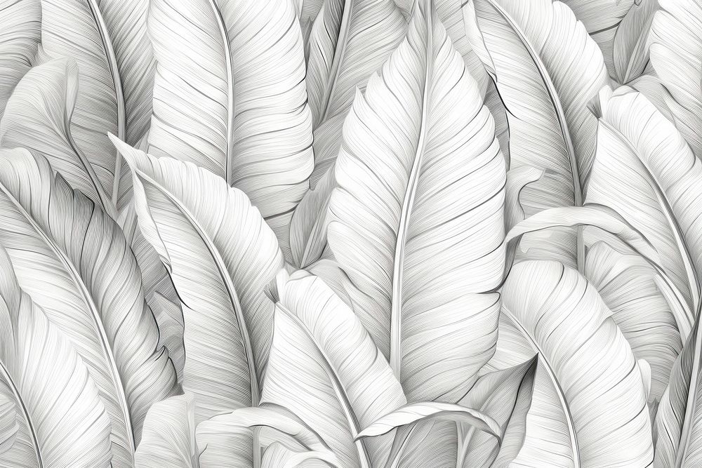 Seamless monotone banana leaves sketch backgrounds pattern.