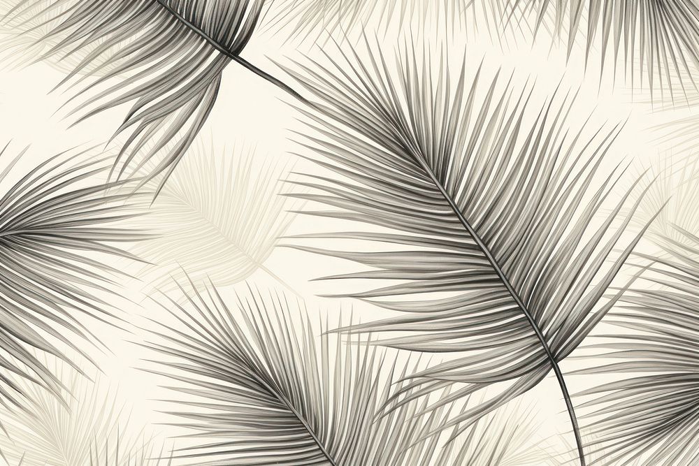 Monotone palm leaves wallpaper pattern sketch backgrounds drawing.