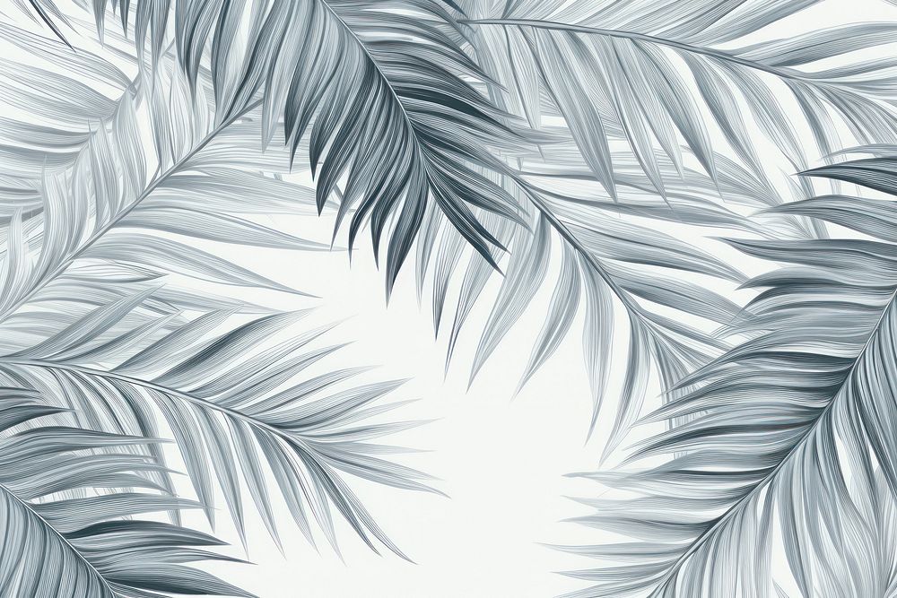 Monotone palm leaves wallpaper pattern backgrounds drawing nature.