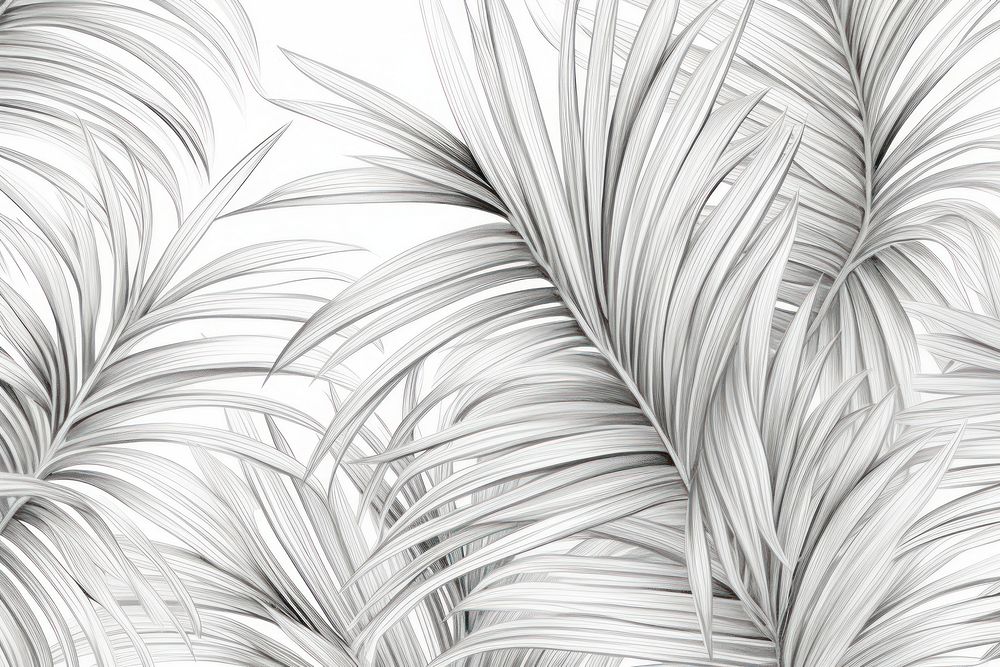 Palm leaves pencil sketch pattern drawing backgrounds.