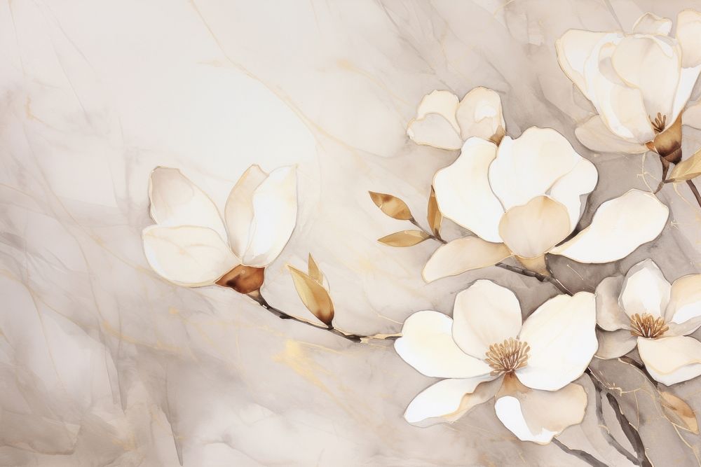 White magnolia watercolor background backgrounds blossom flower.