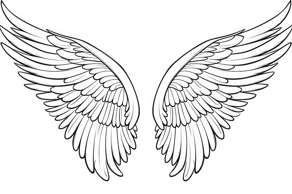 Wings outline sketch angel white creativity.