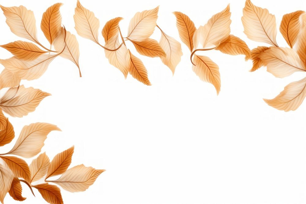 Brown leaf backgrounds pattern plant.