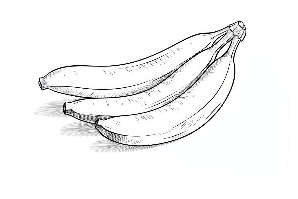 Banana outline sketch drawing food illustrated.