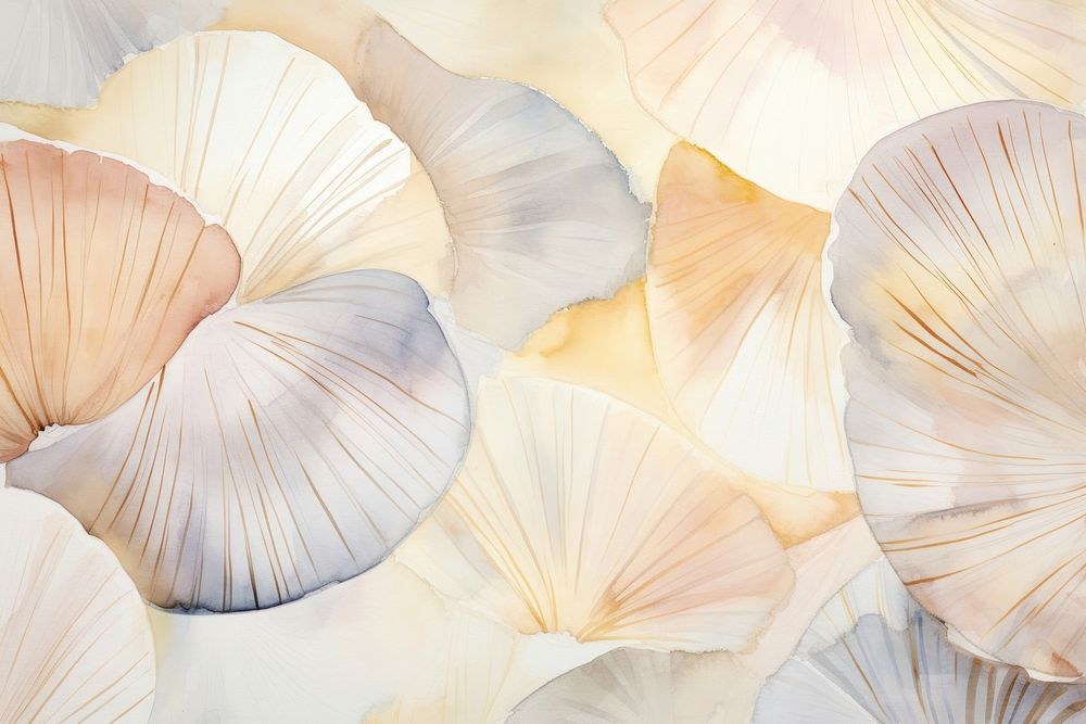 Sea shells watercolor background backgrounds petal invertebrate.