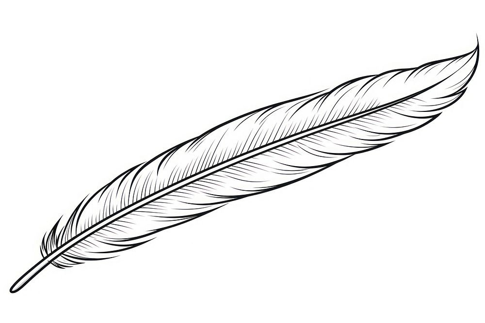 Feather outline sketch drawing white lightweight.