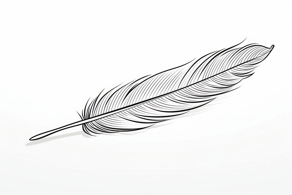 Feather outline sketch drawing white background lightweight.