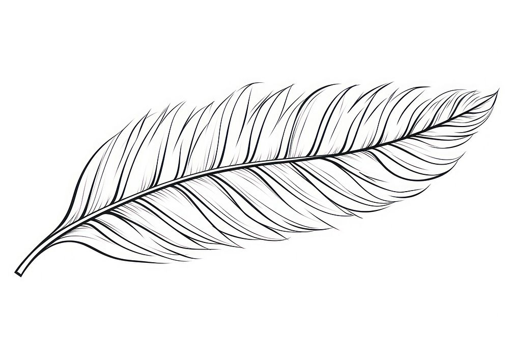 Leaf outline sketch drawing plant lightweight.