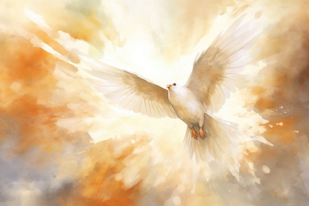 White dove watercolor background painting bird creativity.