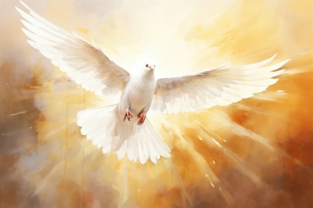 White dove watercolor background painting animal bird.