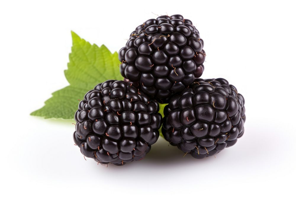 Blackberry fruit plant food.