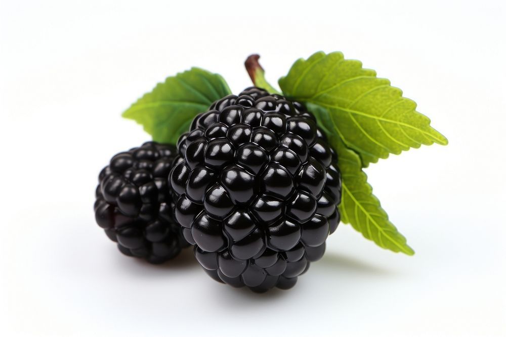 Blackberry fruit plant food.