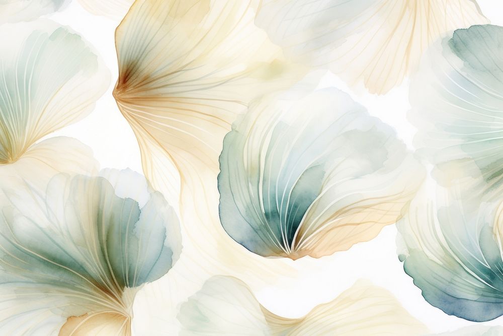 Sea shells watercolor background backgrounds pattern petal.