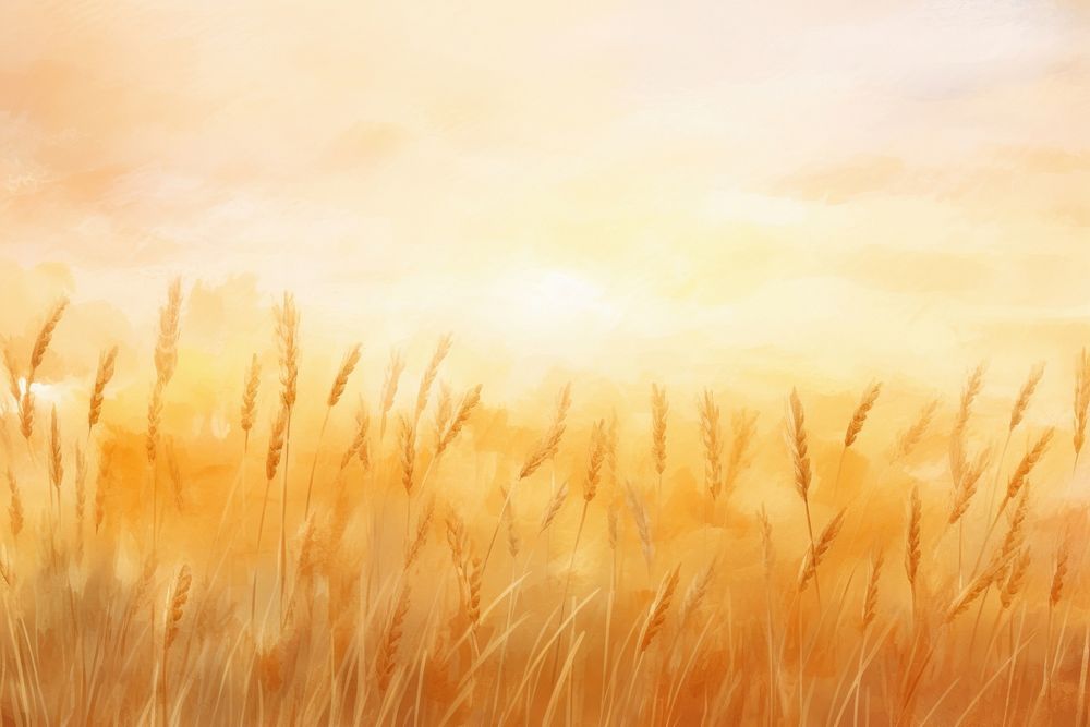 Wheat field watercolor background backgrounds outdoors sunset.