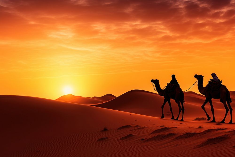 Sahara with camels silhouette nature landscape outdoors.