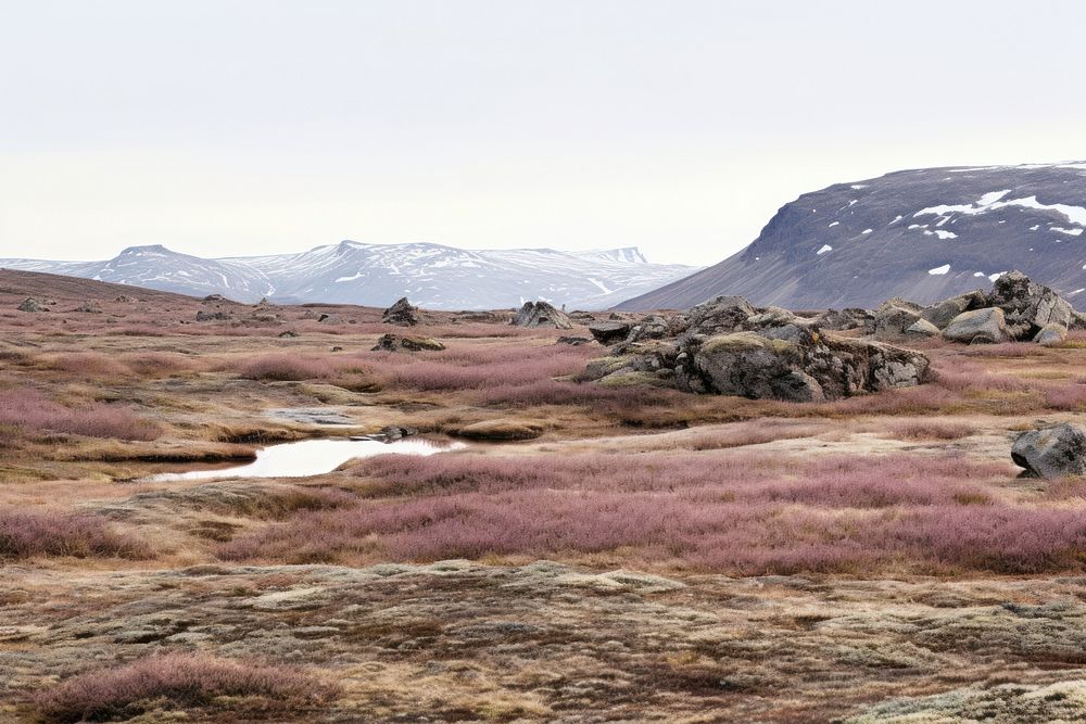 PNG Tundra landscape nature wilderness mountain.