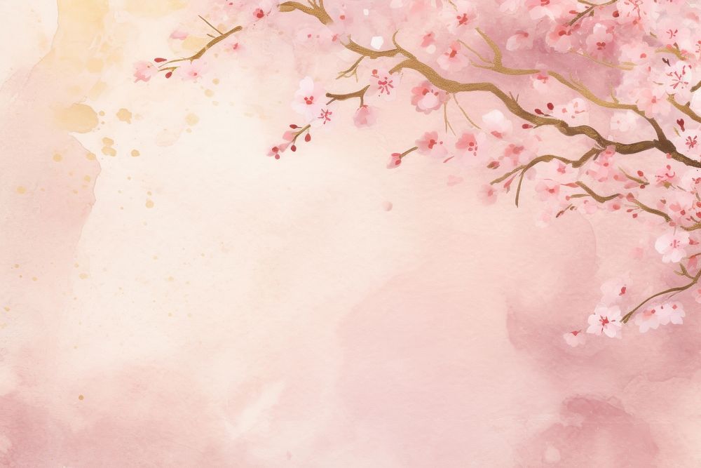 Pink sakura watercolor background backgrounds blossom flower.