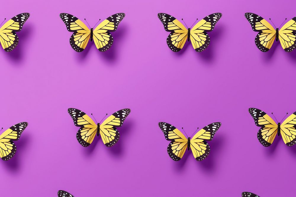Butterfiles pattern purple butterfly animal.