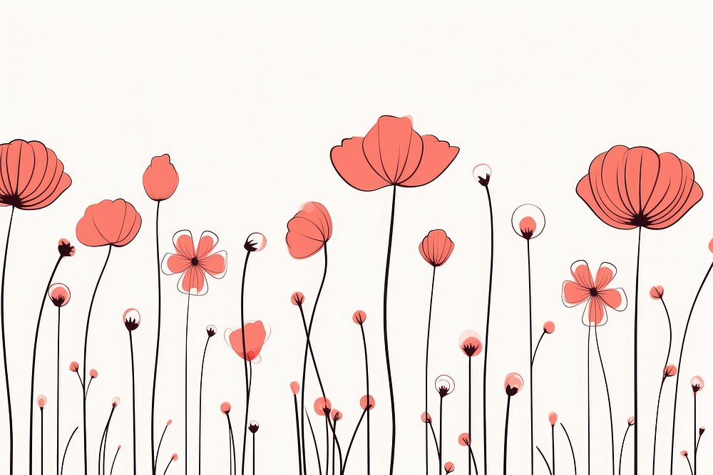 Poppy outline sketch backgrounds pattern flower.
