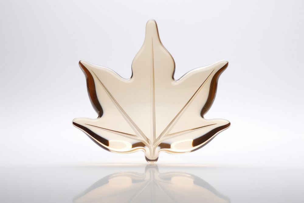 Maple leaf plant white background accessories.