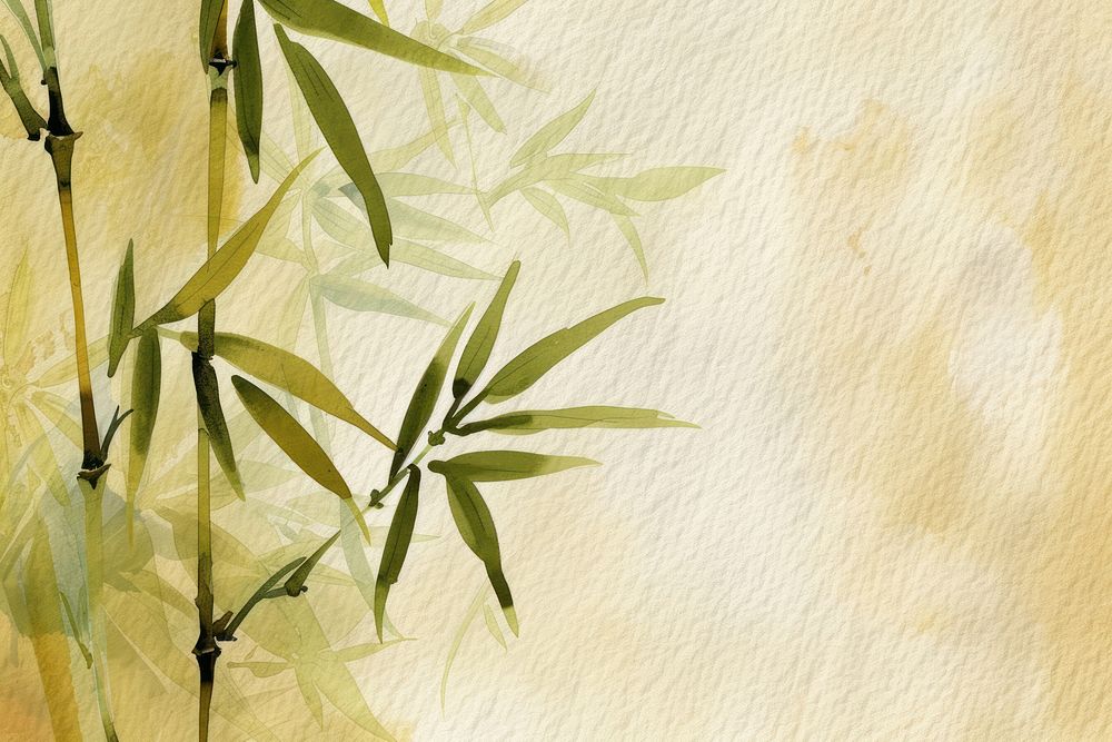 Background bamboo backgrounds plant paper.