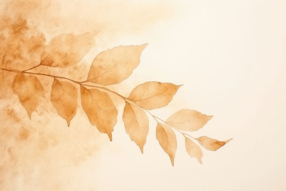 Background brown leaf backgrounds plant paper.