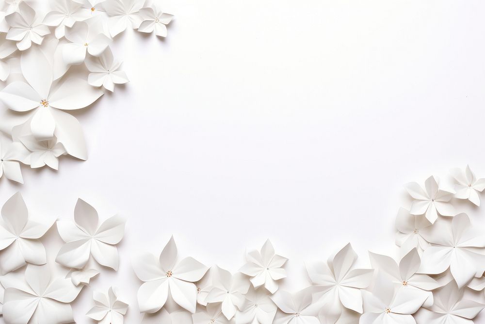 White flower floral border backgrounds petal plant.
