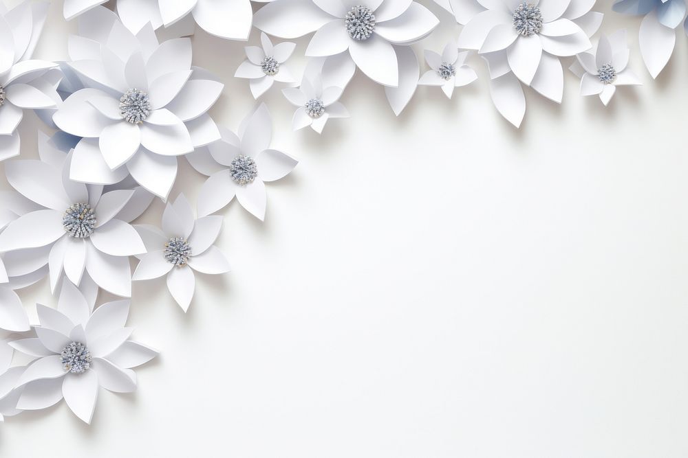 White flower floral border backgrounds pattern petal.