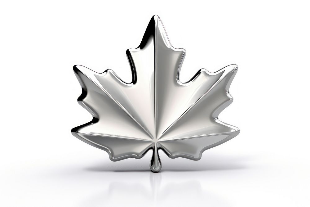 Maple leaf silver plant white background.