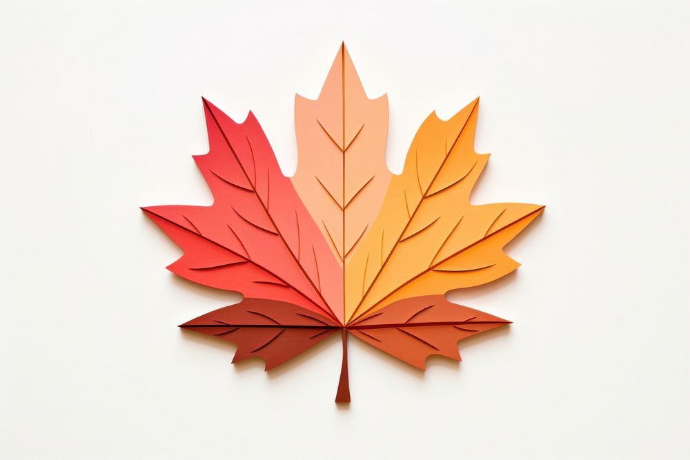 Maple leaf plant tree celebration.