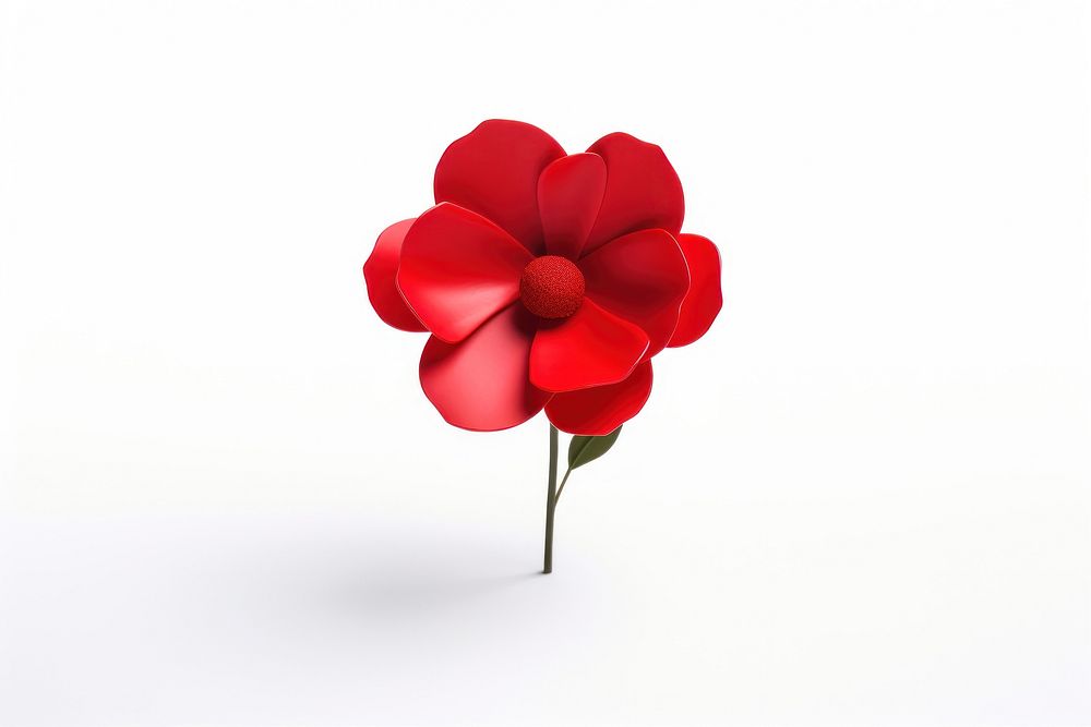 Red flower petal plant rose.