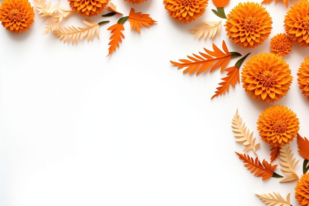 Marigold floral border backgrounds pattern flower.