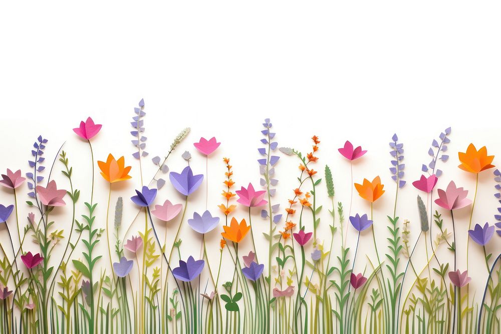 Meadow floral border backgrounds outdoors flower.