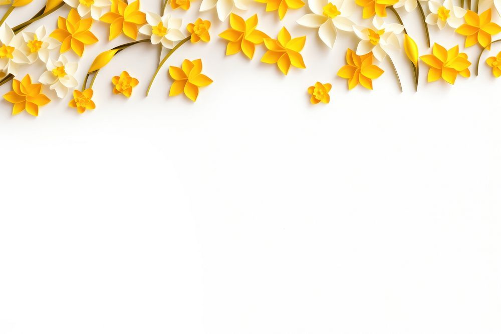 Narcissus floral border backgrounds flower petal.