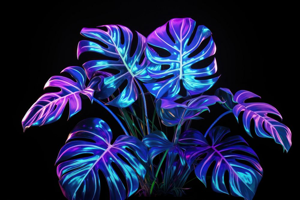 Neon Monstera deliciosa plants light purple illuminated.