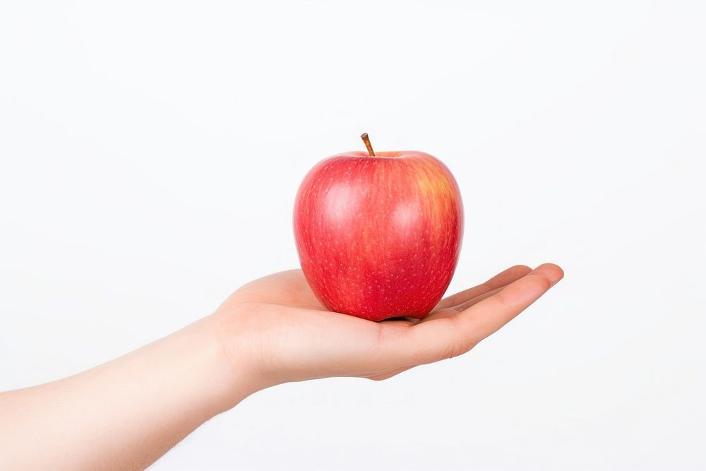 Hands holding apple fruit plant food.