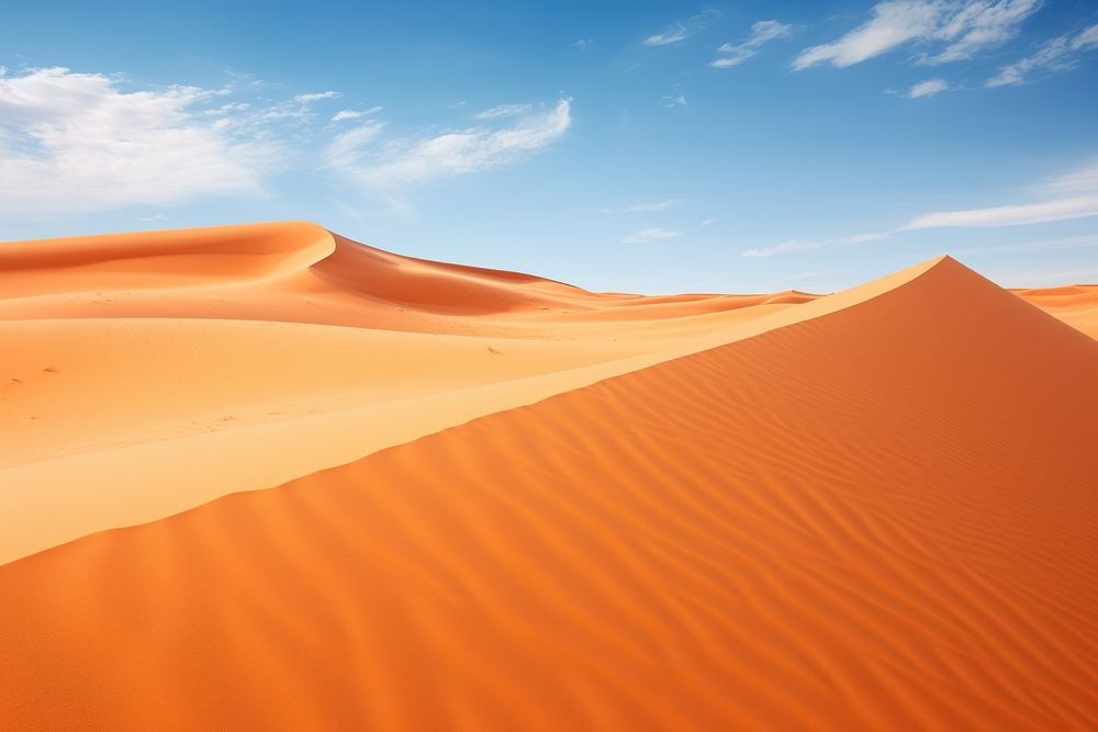 Sahara backgrounds outdoors horizon.