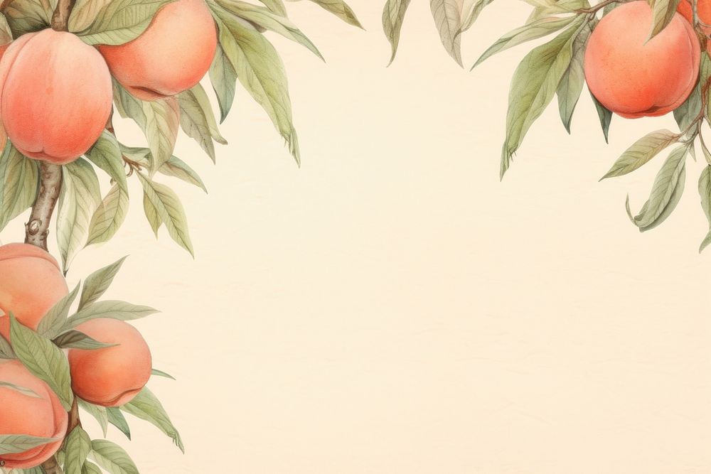 Realistic vintage drawing of peach border backgrounds fruit plant.