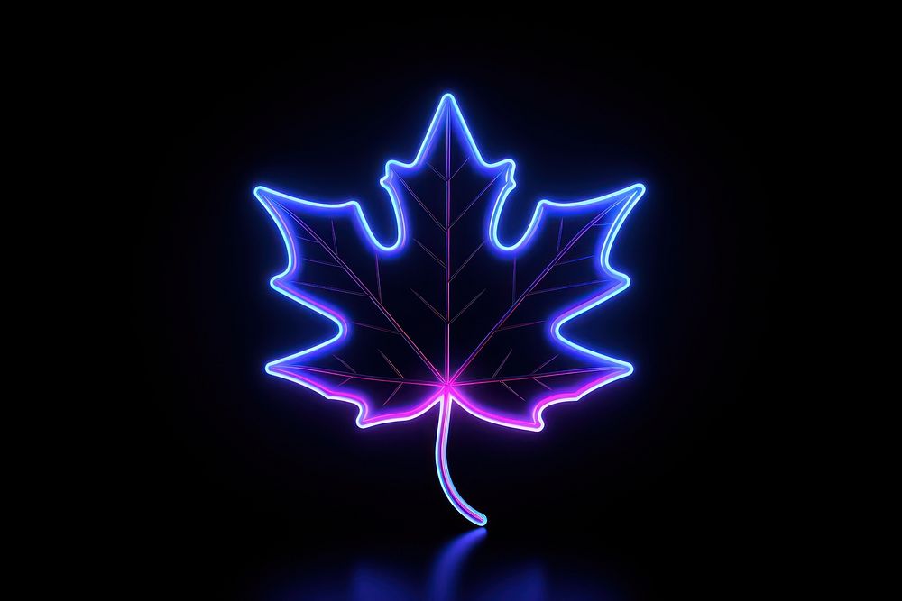 Maple leaf light neon purple.