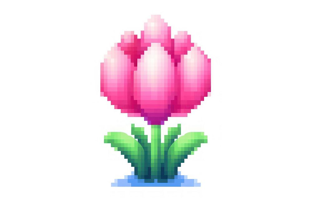 Tulip garden pixel flower plant petal.