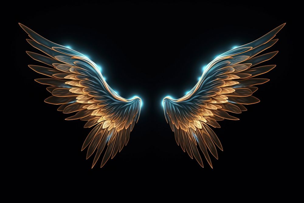 Render of glowing Wings black background illuminated accessories.