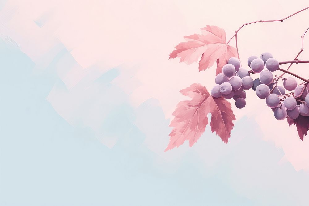 Vine backgrounds outdoors grapes.