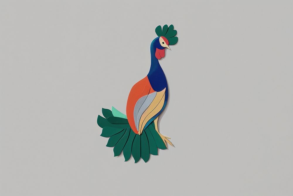 Peafowl chicken animal bird.