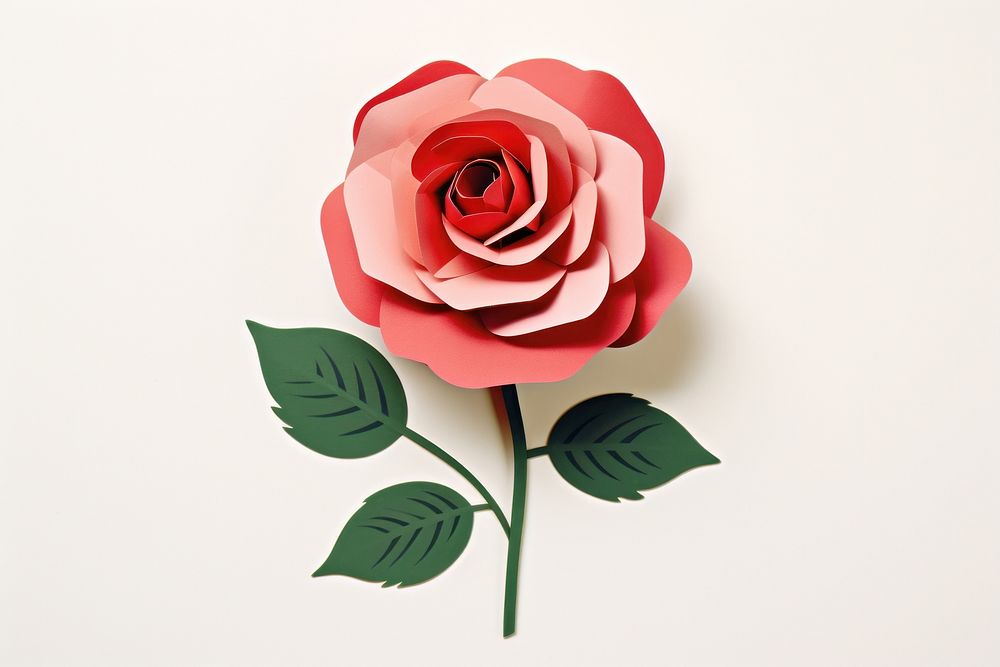 Rose minimal flower plant paper.