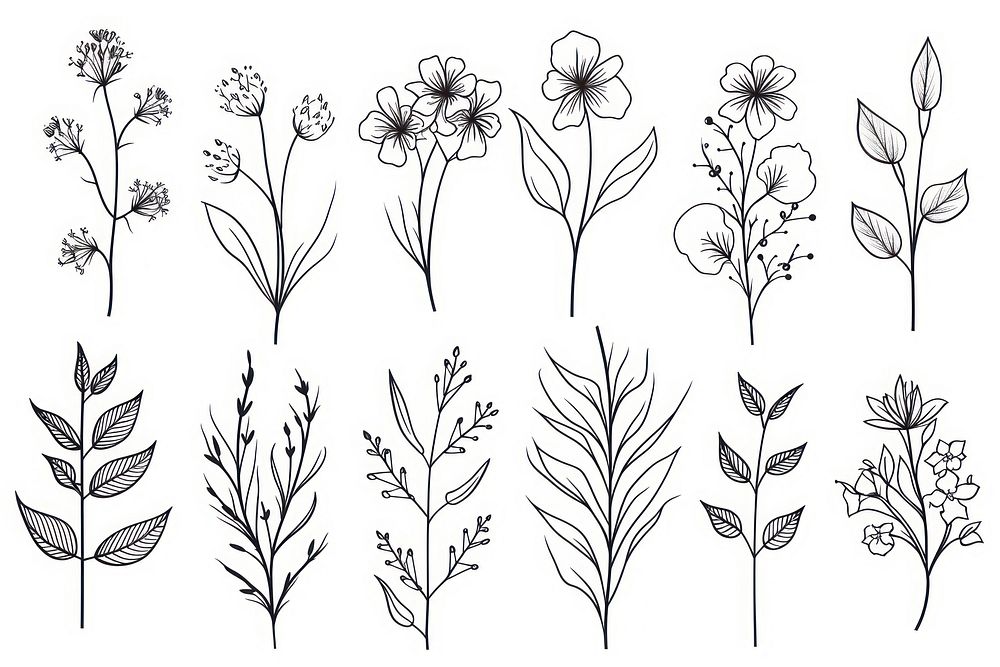 Flowers sketch pattern drawing.