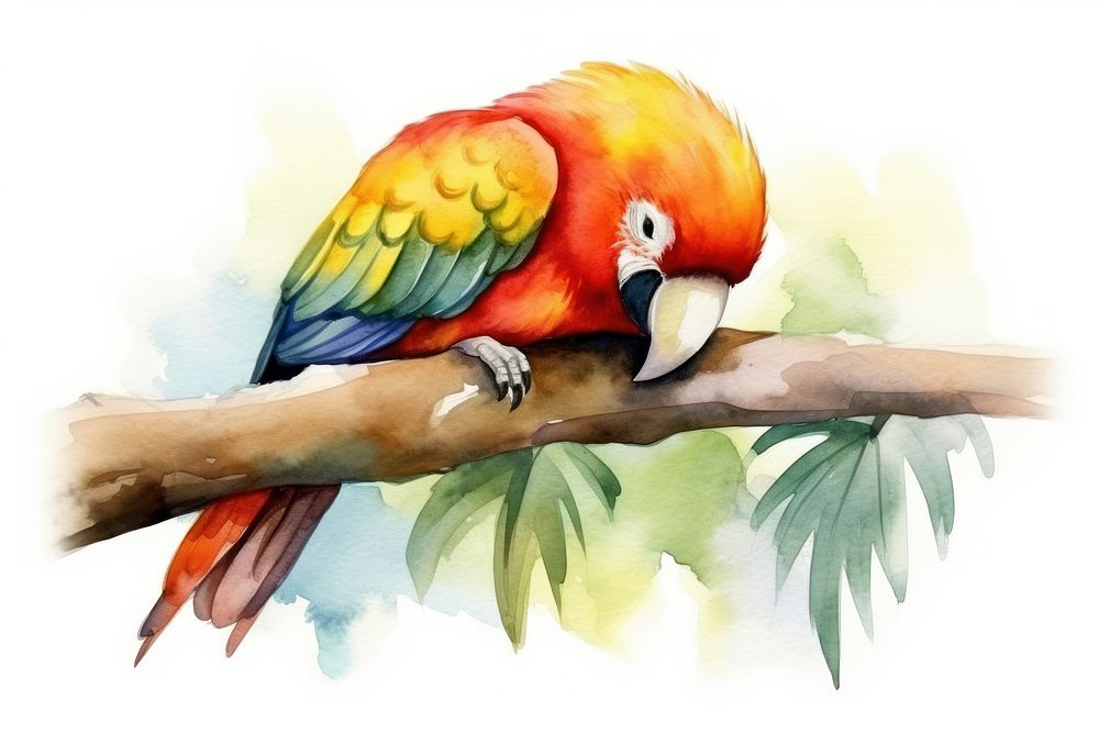Watercolor of a parrot sleeping animal cartoon bird.