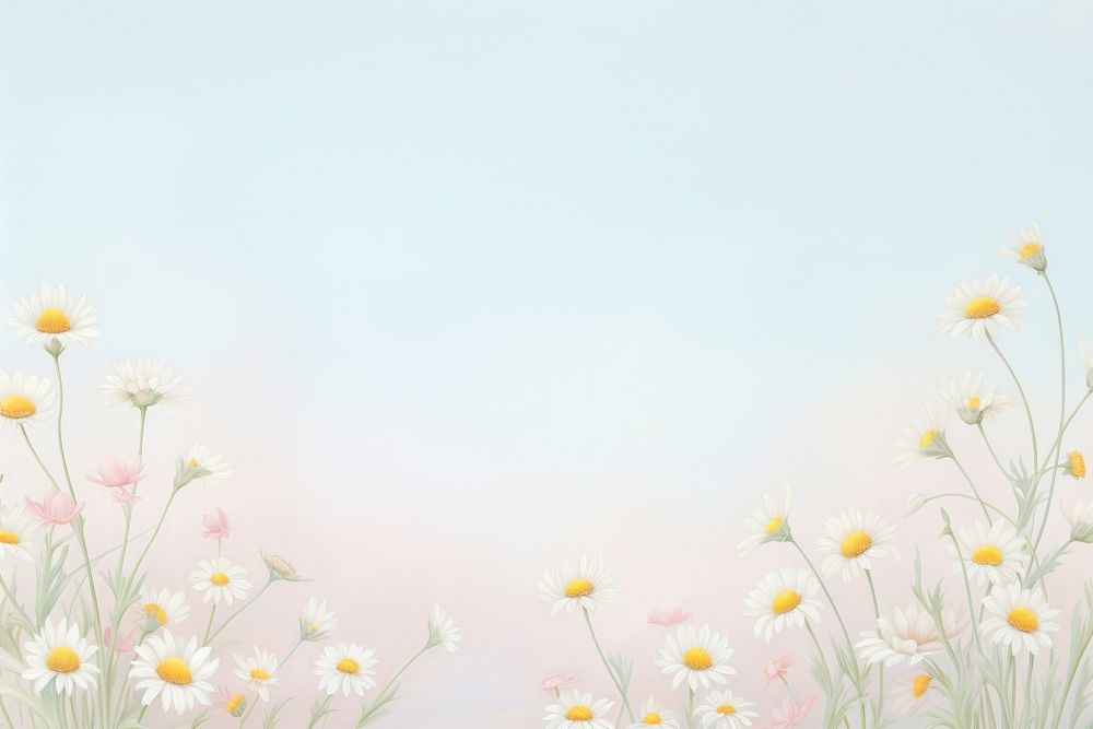 Painting of daisy border backgrounds outdoors flower.