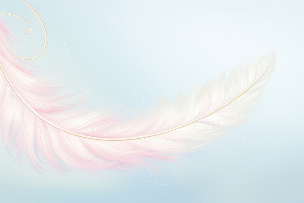 Painting of feather border backgrounds pattern lightweight.