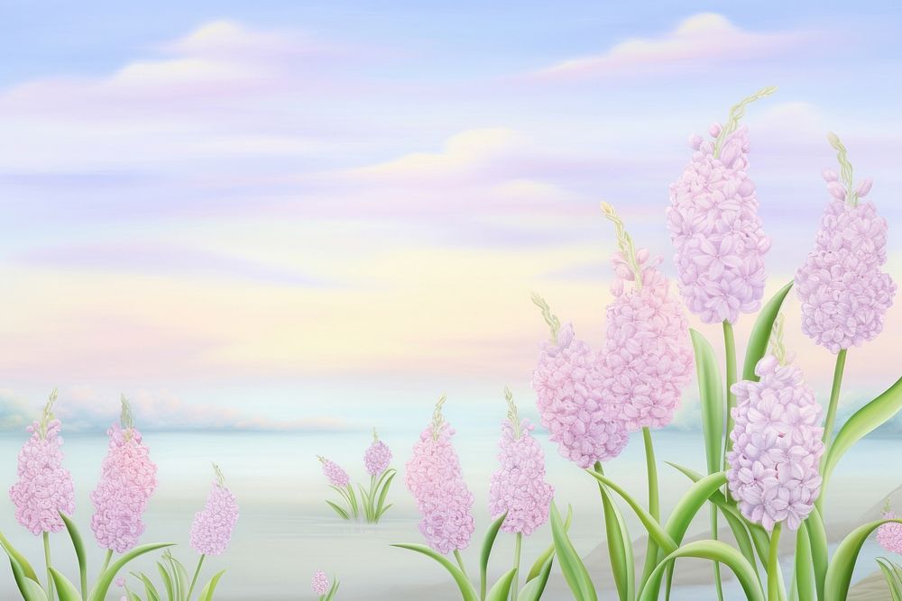 PNG Painting of hyacinth spring border outdoors blossom nature.